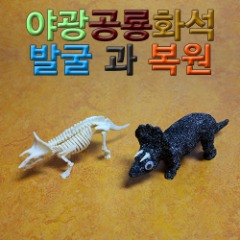[에이스네0142] 야광공룡화석 발굴과복원(복원형)