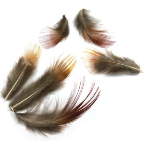 [오케이네1802] 단풍 깃털(10개)