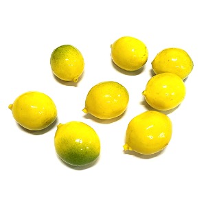 [오케이네2029] 레몬 모형(3종-10개)