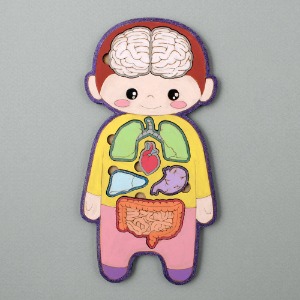 [아이디네01] 우드DIY 우리몸 어린이 조립 퍼즐 나무공예 만들기 두뇌발달 입체 모형 장난감