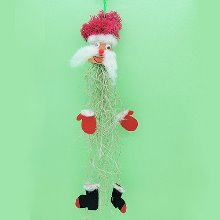 [공작새네081] [ 공기정화식물 ] 초록수염이 자라는 산타화분 크리스마스