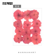 [그리기네1646][대용량]압화 핑크 벚꽃[12개입]